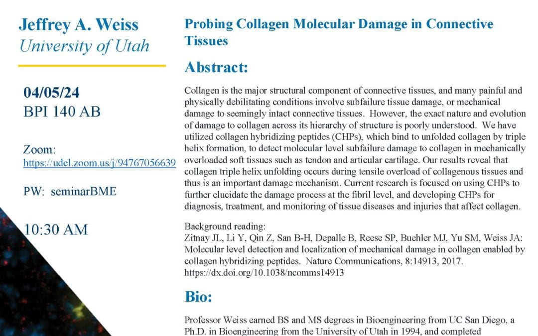 4/5/24 BME Seminar “Probing Collagen Molecular Damage in Connective Tissues”