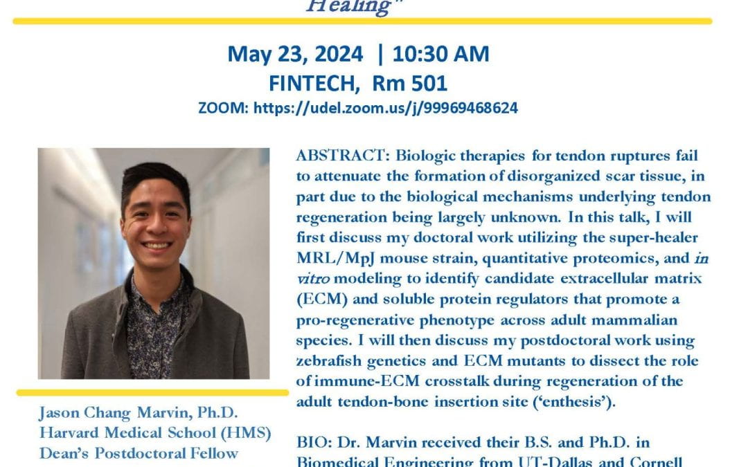 5/23/24 DCMR Seminar: “Leveraging Biological Insight from Naturally Regenerative Animal Models to Engineer Therapeutics for Effective Tendon Healing”
